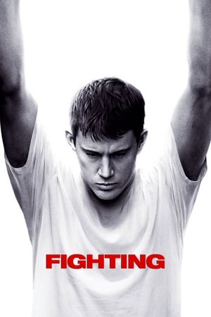 Fighting (2009) Hindi Dual Audio 480p BluRay 450MB Fighting (2009) Hindi Dual Audio 480p BluRay 450MB