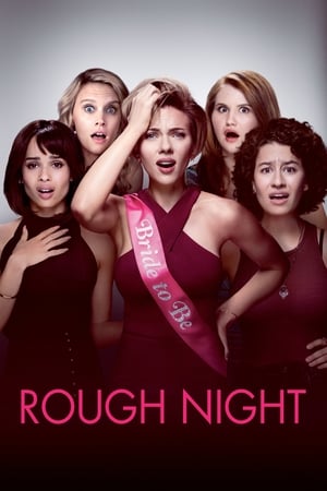 Rough Night (2017) Hindi Dual Audio 480p BluRay 400MB Rough Night (2017) Hindi Dual Audio 480p BluRay 400MB